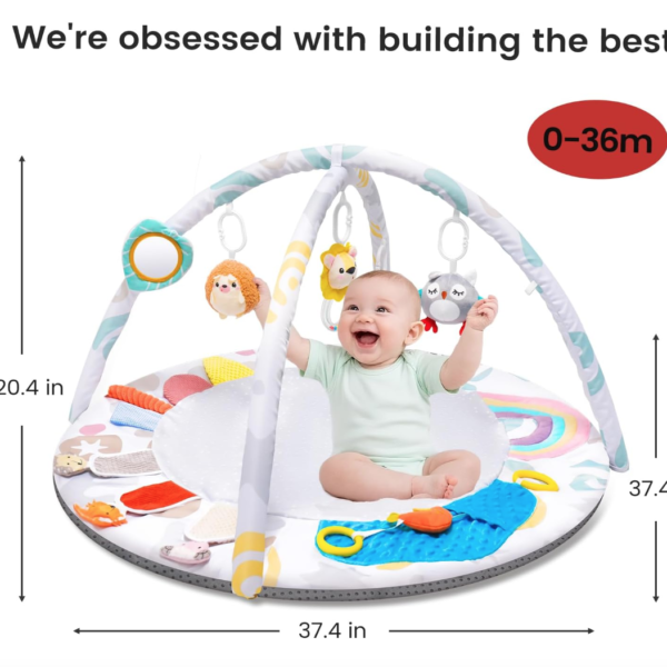 Baby Play Gym & Activity Mat
