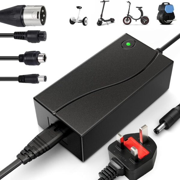 Electric Scooter Charger with 4 Connections